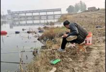 有关钓鱼的鱼饵知识，入门篇，都是干货