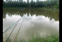 深水区怎么调钓？试试这么钓，灵活运用，上鱼更多