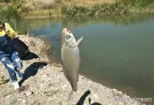 钓鱼的最佳温度是多少？你真的知道吗？