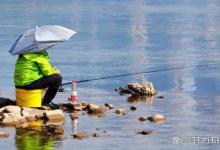 从这几点入手，解决初夏白天鲫鱼不开口的问题