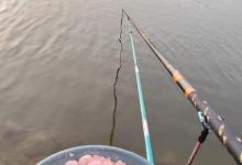 「技巧 钓鲢鳙鱼」新手手竿钓鲢鳙要点分享