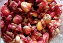 钓鲫鱼谁说只能用酒米打窝？错了！夏天用这种窝料留鱼久还更便宜