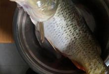 「技巧-钓鲤鱼」夏季野河夜钓鲤鱼