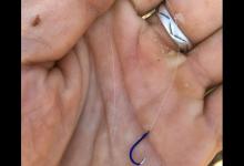 野钓总是挂底该怎么办？如何在容易挂底水域，安心作钓？