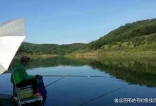 为什么你用玉米钓鲤鱼，几个小时都没有一口