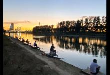 野钓鲤鱼的技术分享