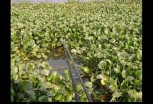 长竿短线钓草洞的四季钓法，干货分享