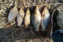 夏季钓鱼技巧。更重要的是如何避开小鱼钓到大鱼