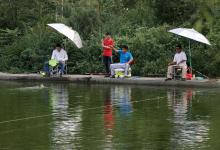 钓鱼技巧，看完肯定会有所收获