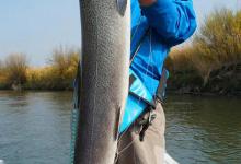 野钓经典六不钓口决，老辈钓鱼人的经验总结