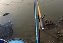 野外垂钓何时可以使用双铅钓法，该钓法都有哪些特点