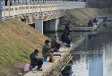 手竿怎么钓鲢鳙？看完就明白了