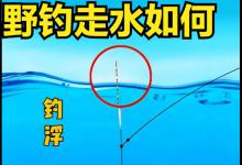 野钓遇走水时如何钓浮？看看这3种方法，效果也许不错