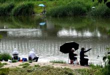 钓鲢鳙必须知道的那些事儿