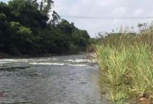 它有水中精灵之称，是钓鱼人的梦幻之鱼，吃时不用去除鱼鳞