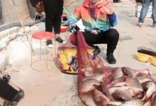 黑坑老板到底“黑不黑”？