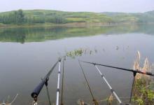 钓鱼小细节：各位钓鱼人，抄鱼时先抄鱼头，还是抄鱼尾？