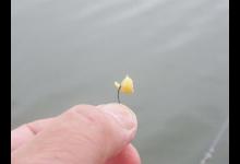 被遗忘的传统钓鱼技术“包食钓法”既易形成鱼群聚，又易钓上大鱼