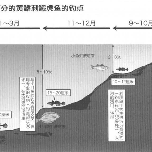 海钓新手油光鱼又名黄鳍刺鰕虎鱼「 日本专业海钓入门投钓书籍 」