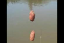 拉饵抽窝，与搓饵守钓有哪些区别，结果怎样，你咋选择？