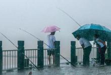 夏天最适合钓鱼的时机，并不是风前雨后，而是下雨的过程之中