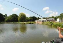 你看重饵料的效果，还是看重钓鱼方法？