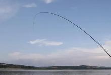 钓鱼假象之三：长竿上鱼，短竿没口，结论：鱼在深水没靠边