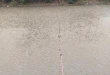 芒种已过，江南地区已入梅。老钓鱼人解答梅雨季节该如何安排钓鱼