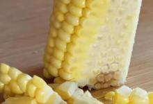 新鲜嫩玉米和加工过的各种味型的玉米，钓大鱼那个更有优势？