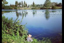 钓鱼中的试探，是大师常干的事，这一招很灵，学着点