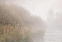 「天气钓鱼技巧」 天气好坏，能否中鱼，颇有讲究