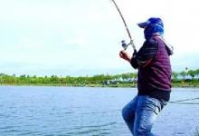 清明时节野钓，只要找到这些“关键”钓点，渔获一定不会差