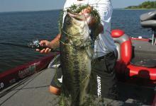 路亚钓挑战钓法-打草钓组punching