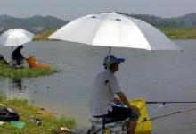 夏季钓鱼时间表：什么天气鱼口旺？什么时候能爆护？查查就知道