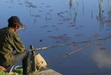 春分钓板鲫，出钓时间有玄机，这3种天气出钓，想不爆护都难
