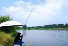 为什么4.5米的手竿在钓鱼人中用的最多，使用频率最高？