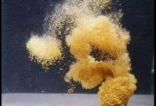 钓鱼奥秘：做窝方式和窝量，决定鱼在窝里干什么，这影响你的鱼获