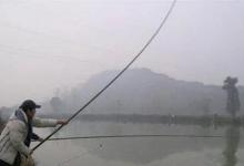 学会甩大鞭技巧，九米长竿打频率，鱼获多，也不累