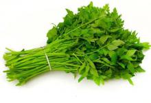 这样做草鱼窝，窝料不花钱，鱼进窝有信号，再钓不迟