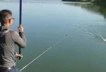 晚春野钓，上钩的鱼又跑了？养成“5个好习惯”，一钓一个准