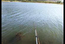 抛窝频率和每次的抛窝量，影响着鱼获量，野河实战总结之三