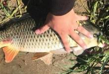 夏季野钓，别再死守一整天，掌握4条“法则”，出钓就能连竿大鱼