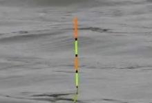 调钓时，调低目钓低目，调高目钓低目，哪个更灵敏？