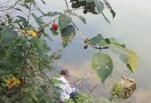 果树之下好钓鱼？这种“野果”下面大鱼多，只需3招教你拿下