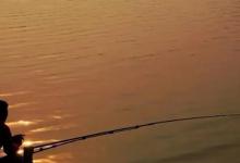 还在选择深水钓点？大鲫鱼都藏在这4个位置，选对下竿就能连竿