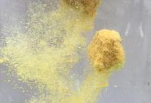 在散落饵渣的烟幕中，煮麦粒、嫩玉米双管齐下，可大小鱼兼收