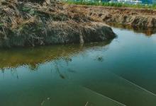 「水色钓鱼技巧」 如何看懂水体颜色提高中鱼率