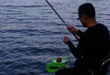 都说中午鱼难钓，换个思路和钓法，一天都有口，鲫鱼鲤鱼都能上