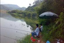 钓了一辈子鱼，还没钓过离底？太遗憾，钓离底应该是你的备胎