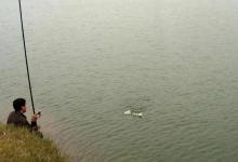 天冷了，别执着用短竿了，长竿才钓的大，钓的多